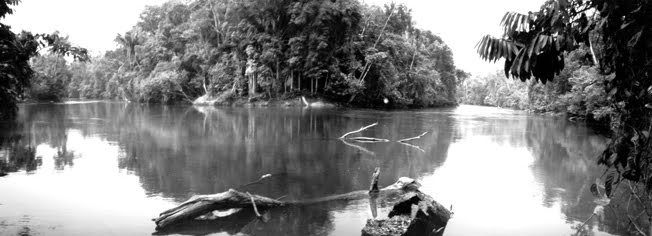 História e Cia. Rio Roosevelt.