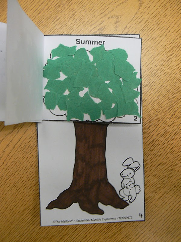 Mrs. T's First Grade Class The Seasons of Arnold's Apple Tree