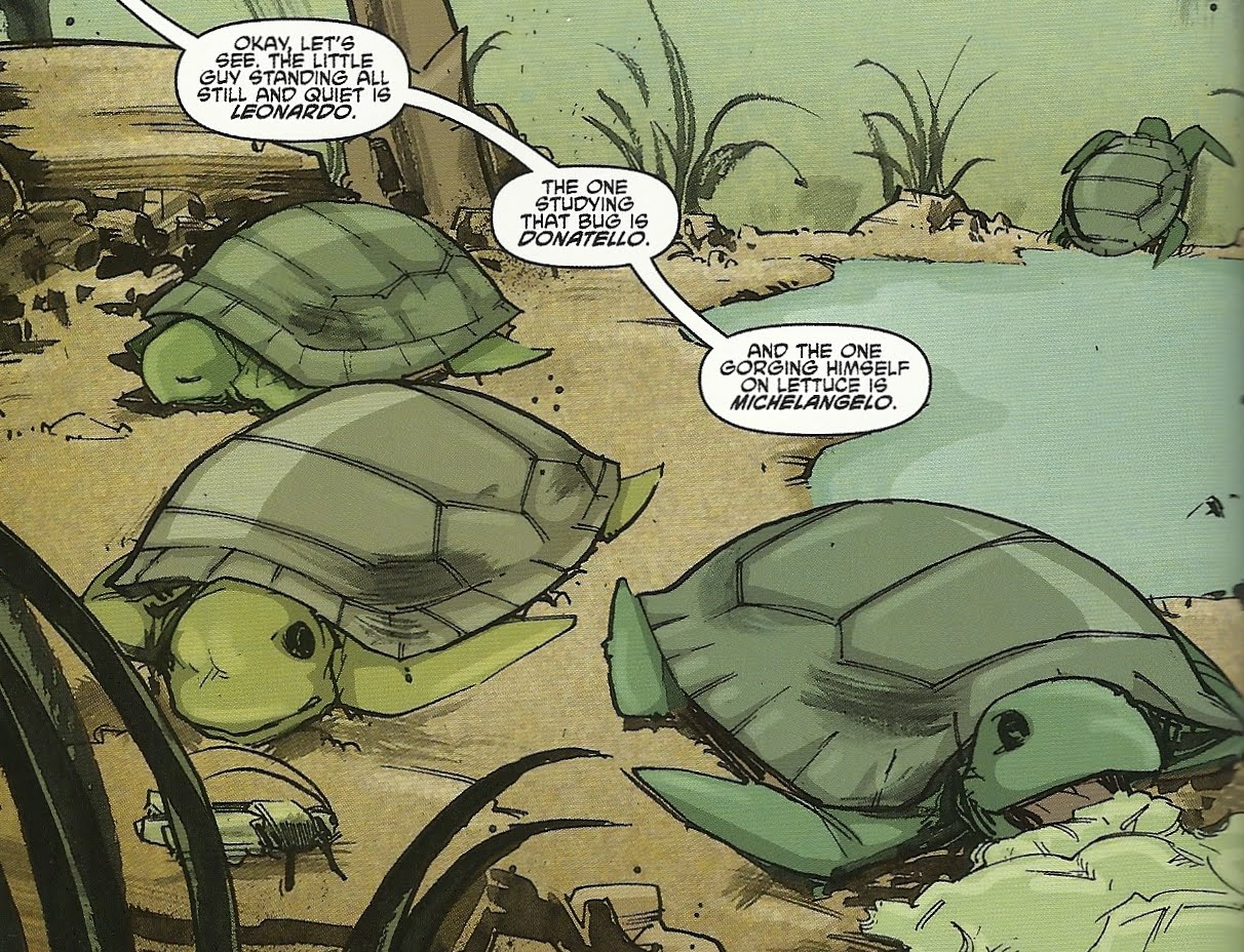 sea%2Bturtles.jpg