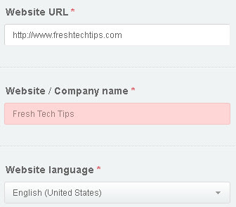 Website details form