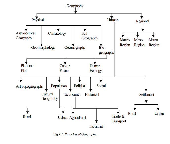branches of science flowchart branches of science flowchart 28 images what is branches of science flowchart branches of science flowchart 28 images what is