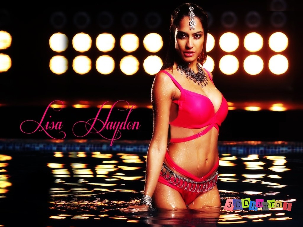 http://4.bp.blogspot.com/-5hqZc3l-xak/TyUhRIyH6MI/AAAAAAAAAPM/INB0sKrwVzs/s1600/lisa_haydon_bikini-1024x768.jpg