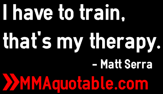 Motivational Quotes with Pictures (many MMA & UFC): Matt Serra Quotes