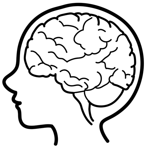 psych news alert abnormalities found in brains of children at risk children brains