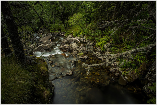 Parc Natural (de la Vall) de Sorteny (Ordino): Cascada - Larga exposición
