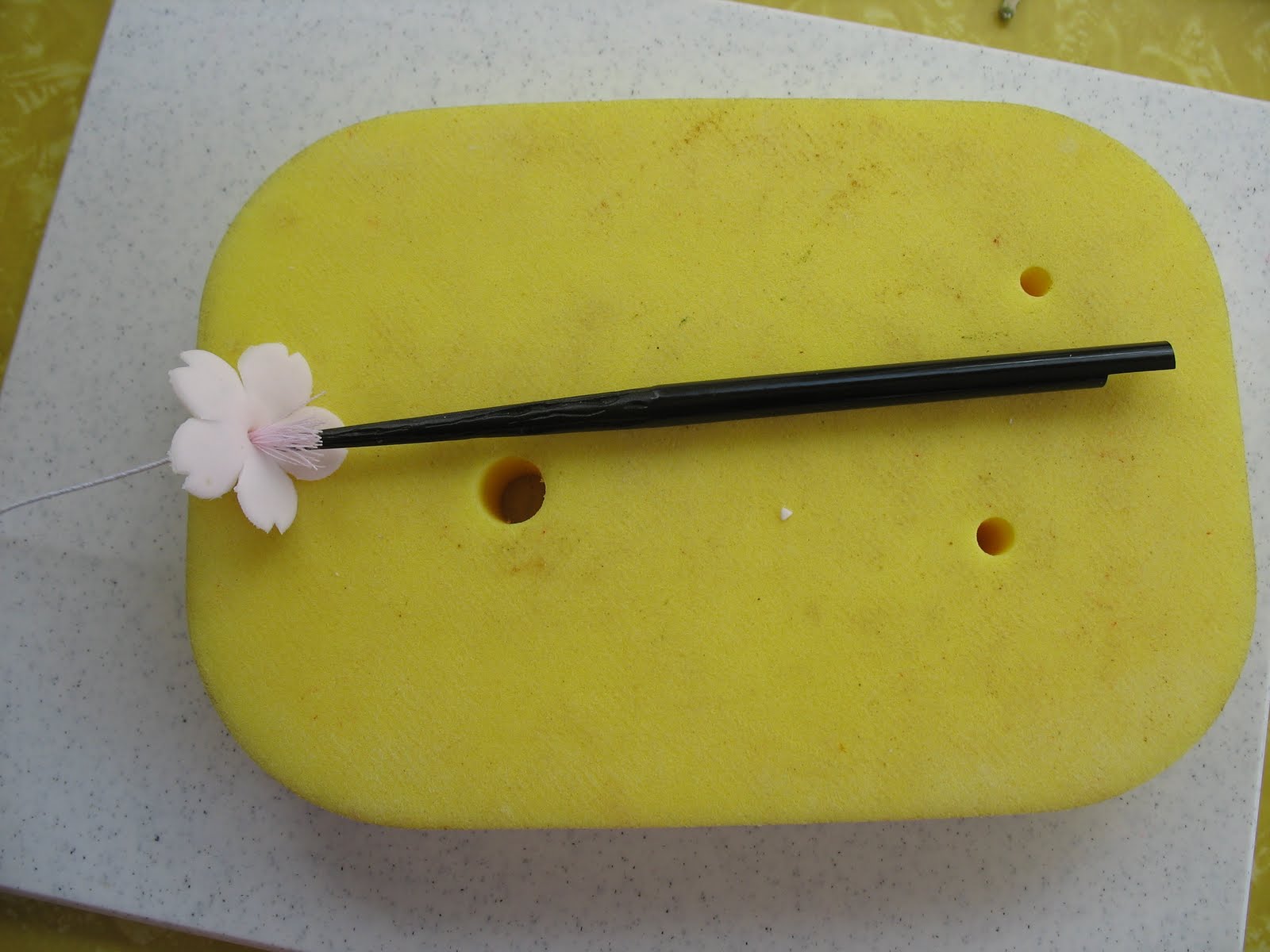 Shaile's Edible Art Cherry Blossoms are blooming