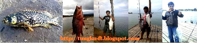 Tungku Fishing Trip