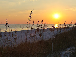 Destin Florida Pet-friendly condos, VRBO Rentals