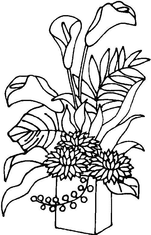 Dibujos para colorear de plantas ornamentales con sus nombres - Imagui