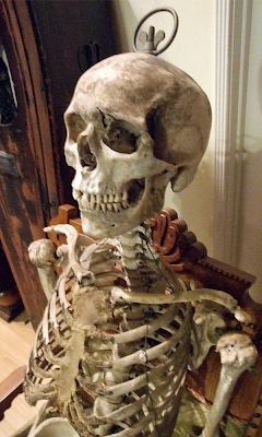 Pandora's Parlor: Antique Victorian Real Human Medical Skeleton for Sale