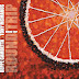 Beppe Gambetta & Tony McManus – Round Trip (Borealis/I.R.D., 2015)