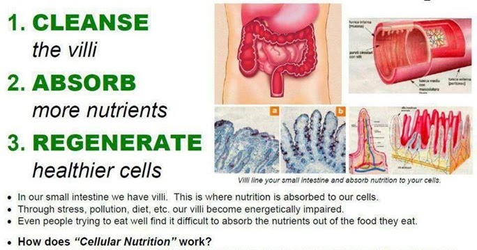 penggemuk badan dan konsep menambah berat badan penggemuk badan dan konsep menambah berat badan