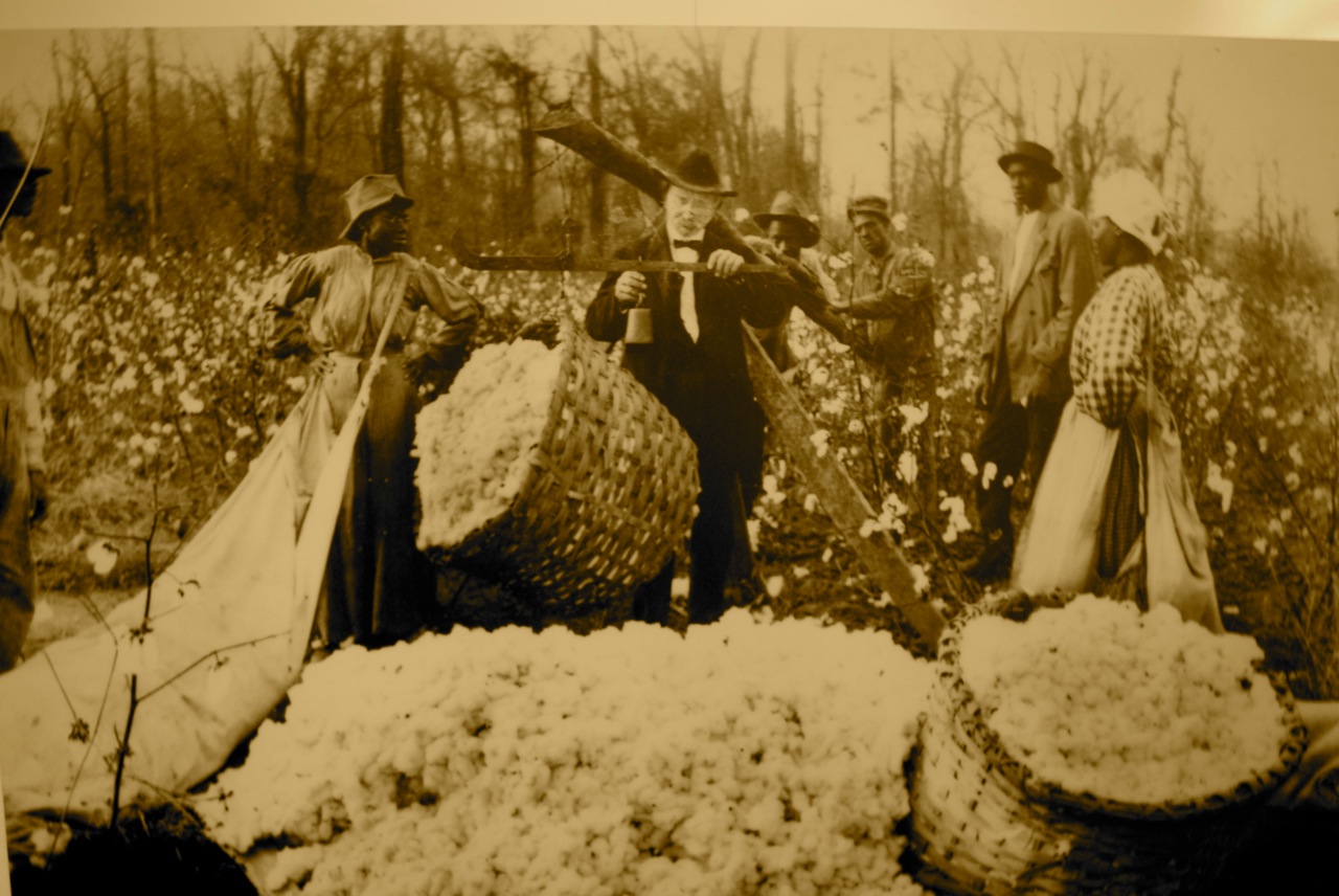 Midwest Girl Memphis Cotton Museum