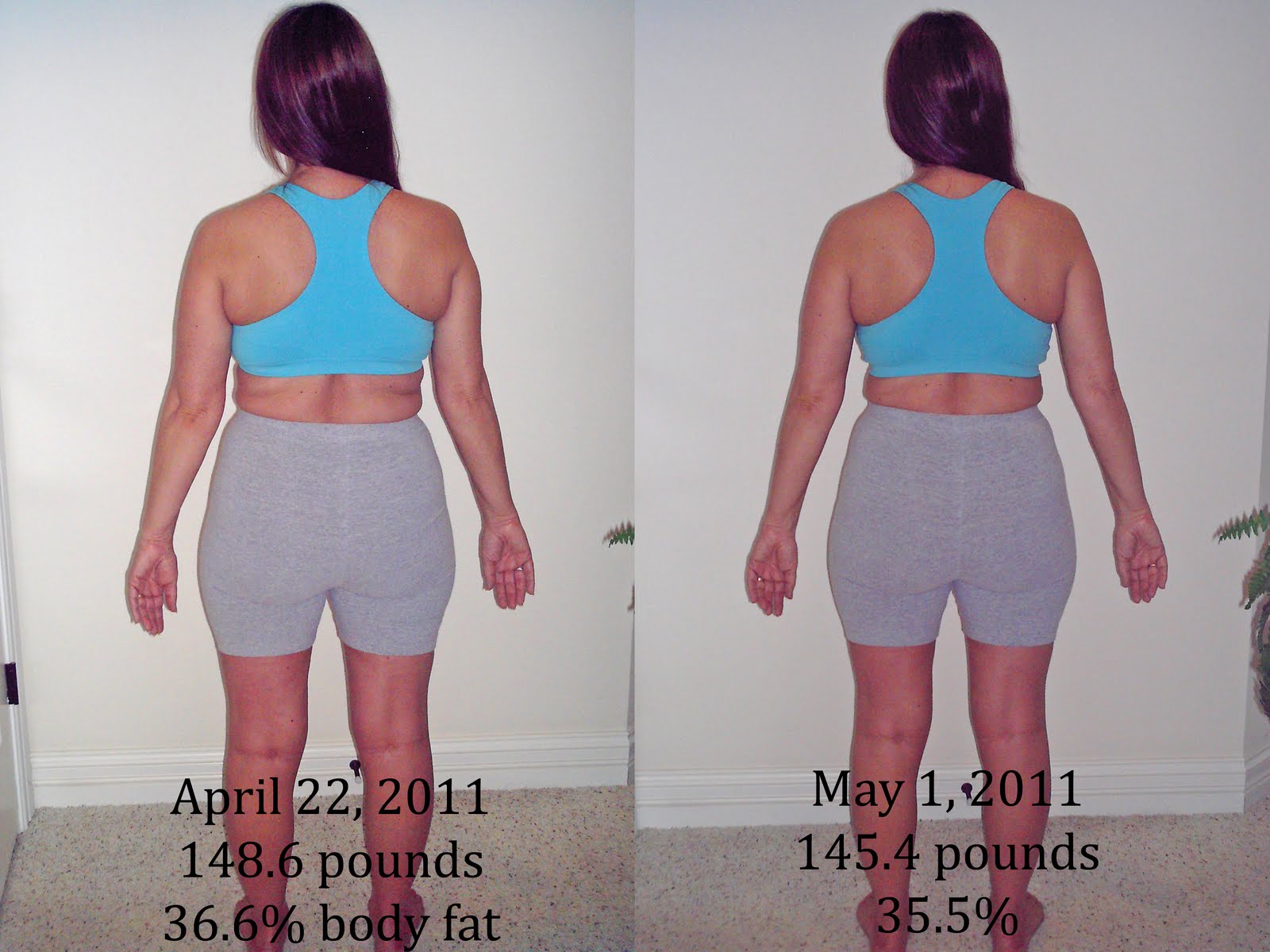 average body fat percentage loss per week average body fat percentage loss per week