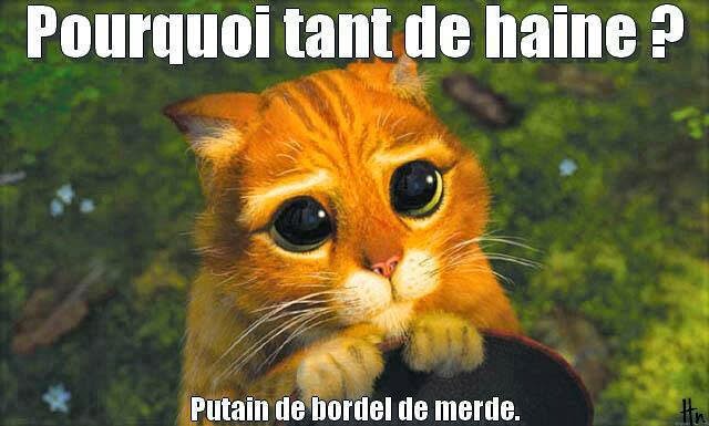 Le Chat Libre de Toulouse ::Bienvenue sur le site de l’Ecole du Chat Libre de