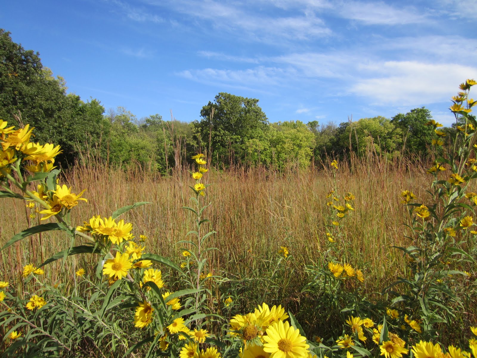 Warren's Blog Early Fall in Kansas