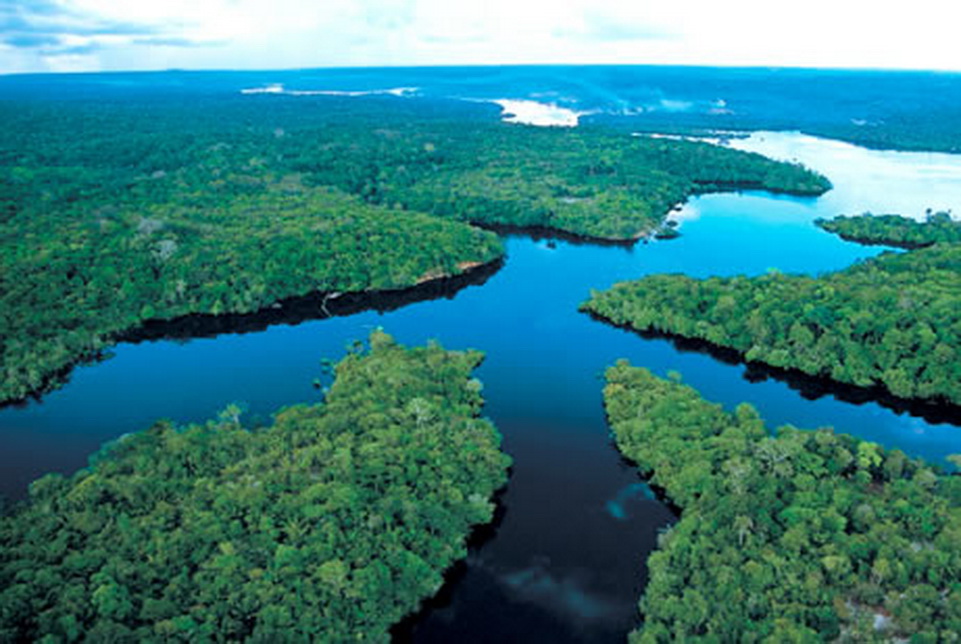 Amazon River | Facts, History, Location, Length, Animals 
