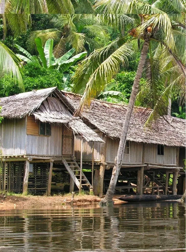 Homes on the mighty Sepik River.Papua