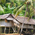 Homes on the mighty Sepik River.Papua