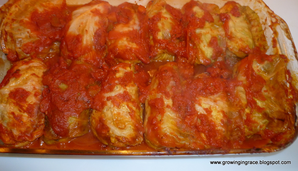 Growing in Grace Cabbage Rolls Italian Style