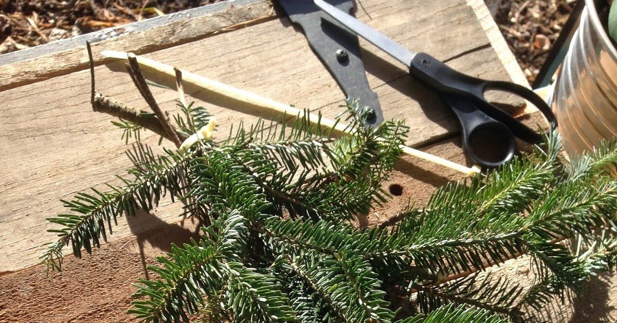Bird and A Tree Decorating with Christmas tree leftovers