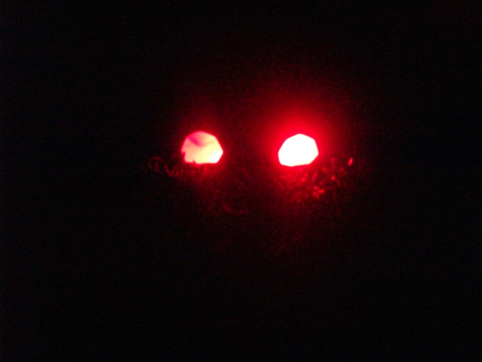 31 Days of Halloween - Eyes in the Bushes Halloween Red Glowing Eyes Halloween Red Glowing Eyes 31 Days of Halloween - Eyes in the Bushes