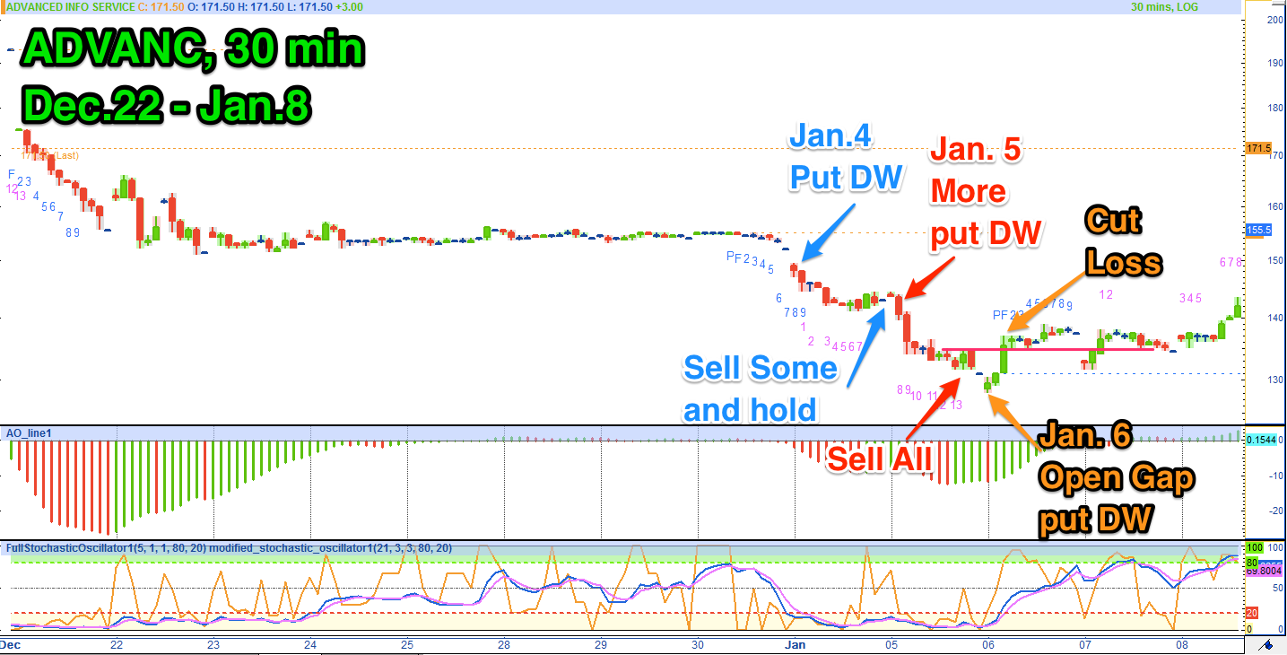 Wave rider trading system