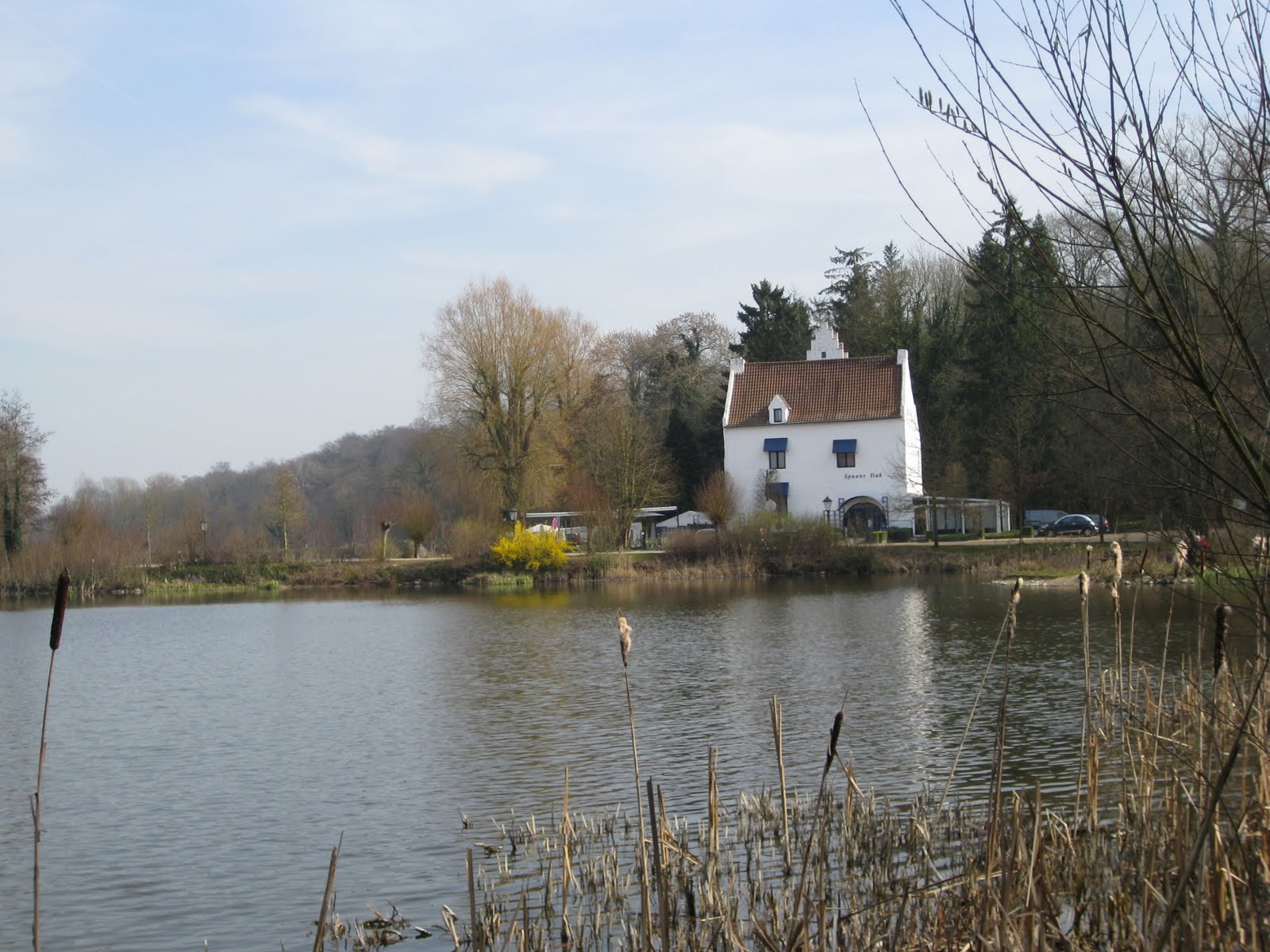 TOUR DE FRANS Meerdaal & Heverleebosroute
