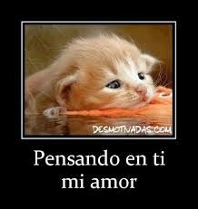 imagenes tiernas de amor para descargar imagenes tiernas de amor para descargar