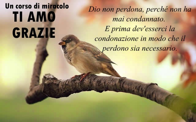 Lezione 46 Del Libro Di Testo Dio E L Amore Attraverso Il Quale Perdono