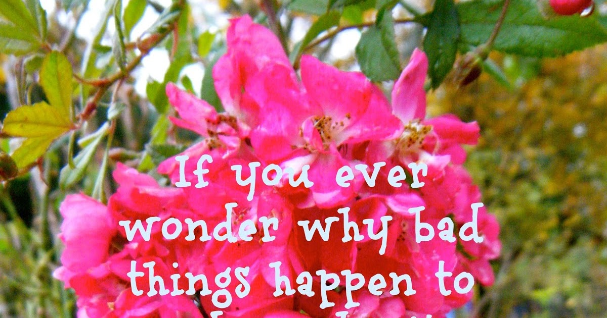 Flowery Blessing: If you ever wonder why bad things happen to good
