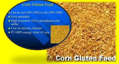 CGF (Cord Gluten Feed)