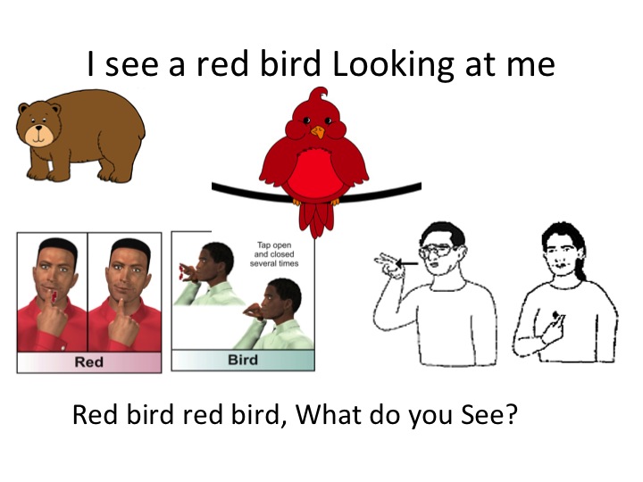 HearMyHands ASL Brown Bear Brown Bear wrapping up!