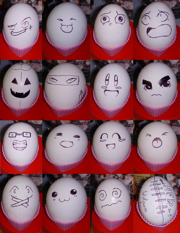 Awesome Egg Photography
