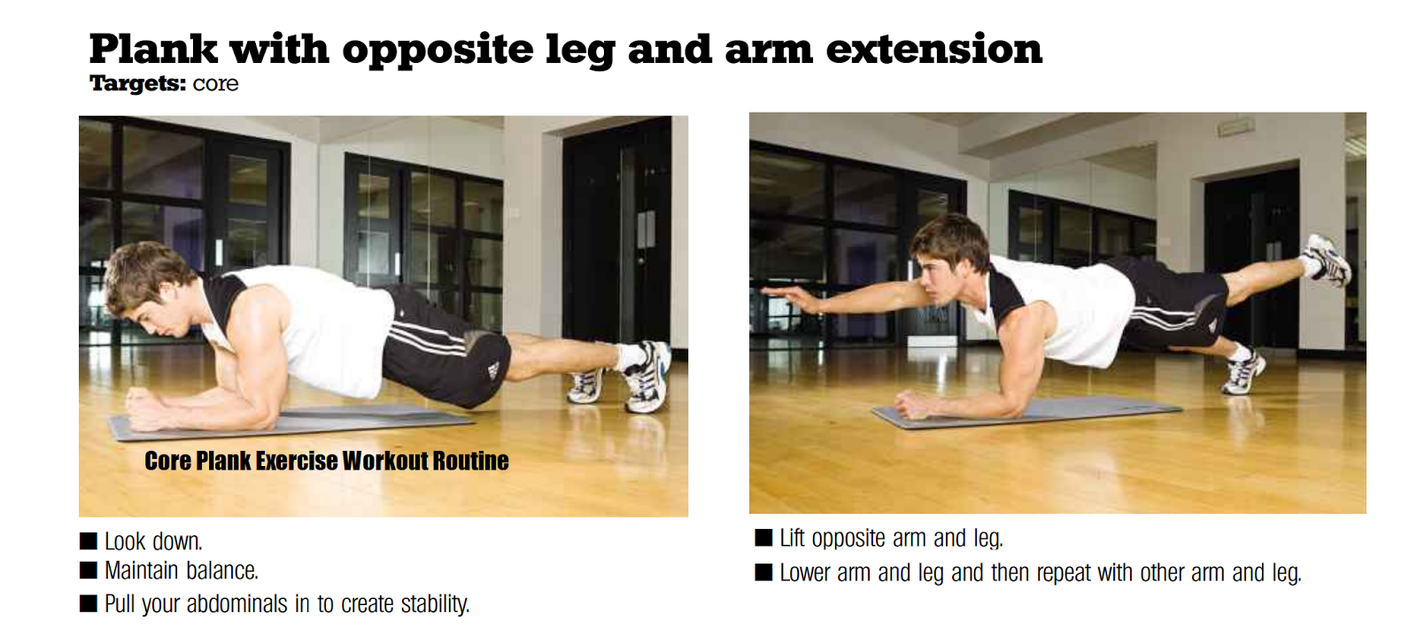 Plank With Opposite Leg and Arm Extension Plank Exercises Routine