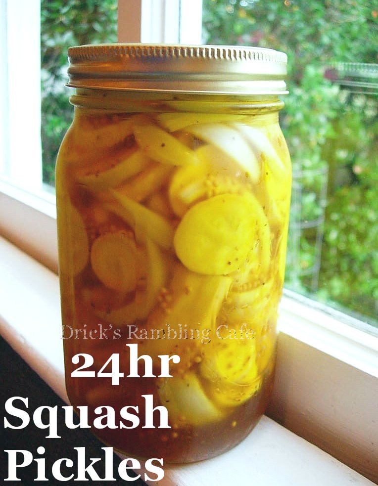 Squash Pickle Recipe 24 hour recipe Drick's Rambling Cafe