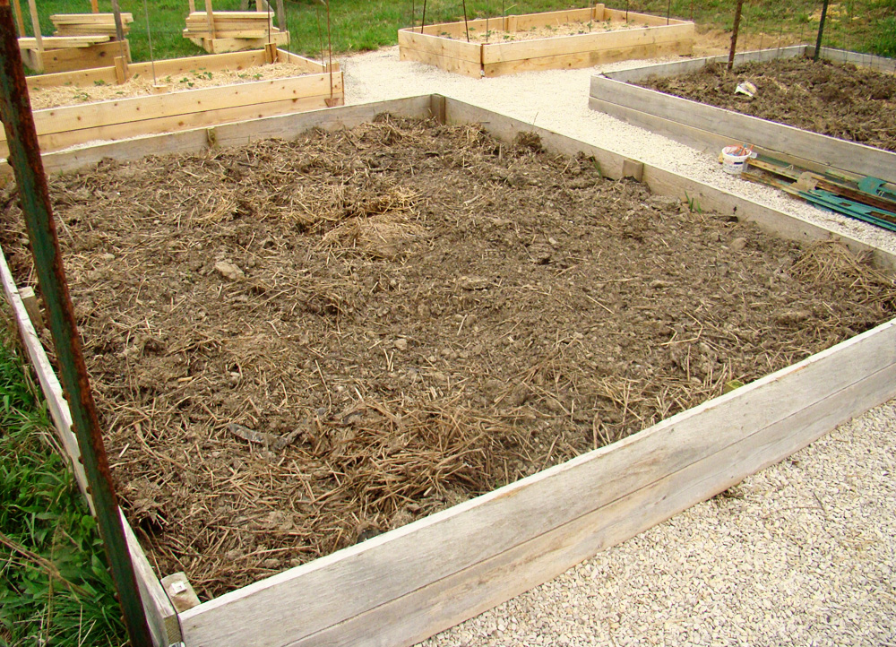 Rurification Chicken Dirt