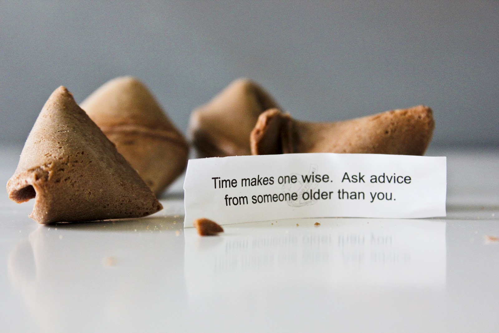 Little Blue Feathers Sweet Tooth Chocolate Fortune Cookies