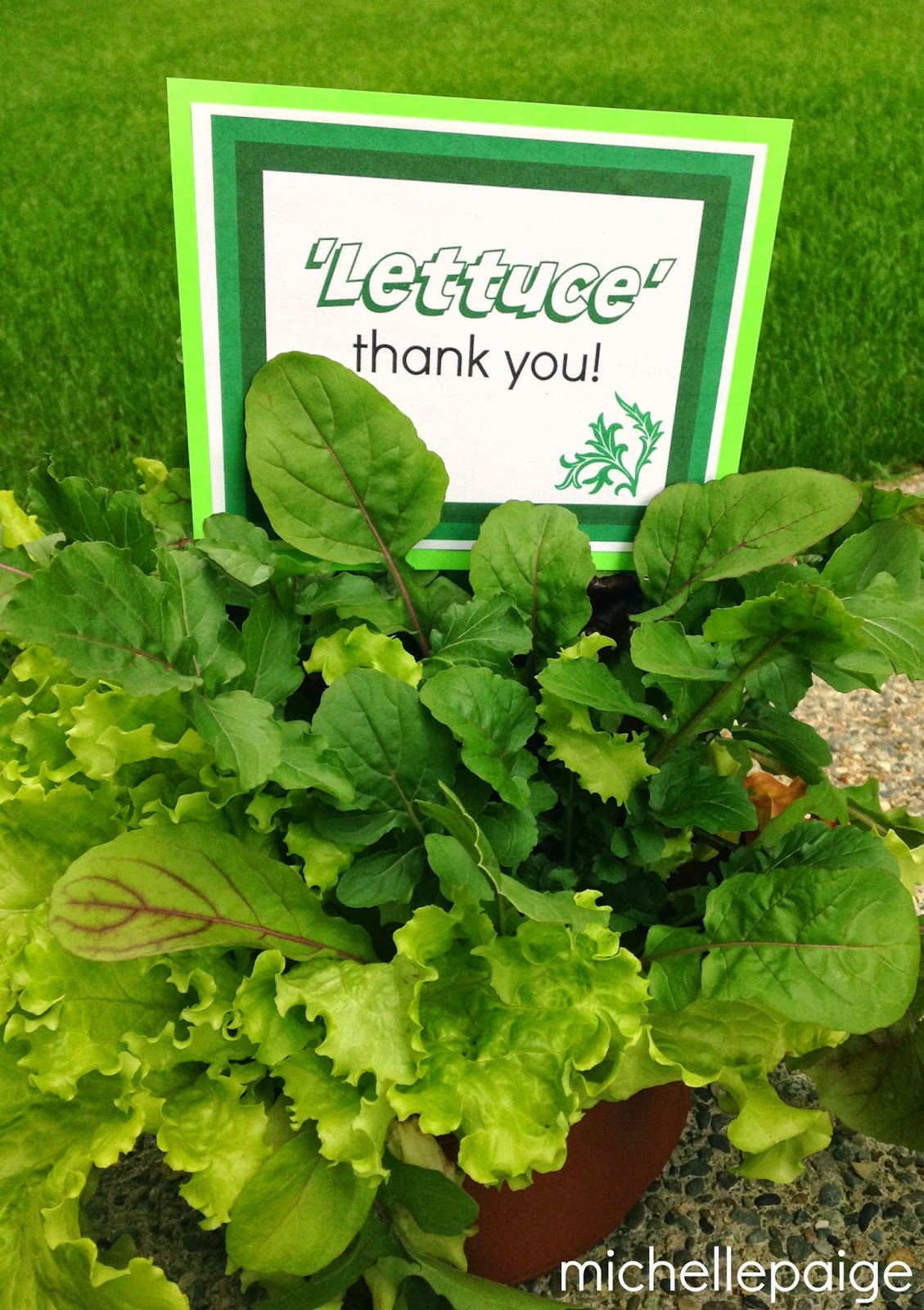 michelle paige blogs Lettuce Thank You Pun Gift