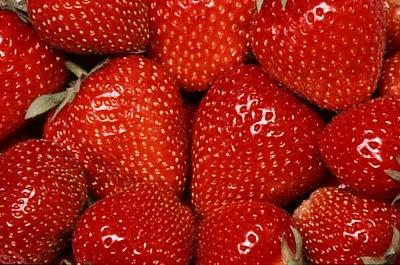 erdbeeren2.jpg