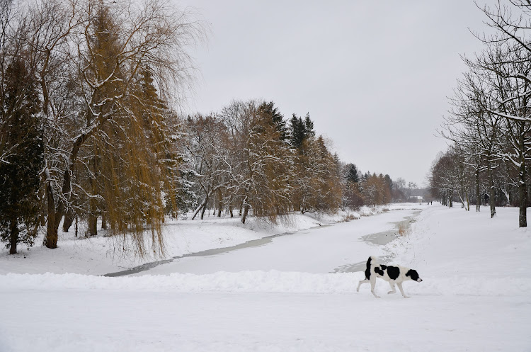 зимний парк