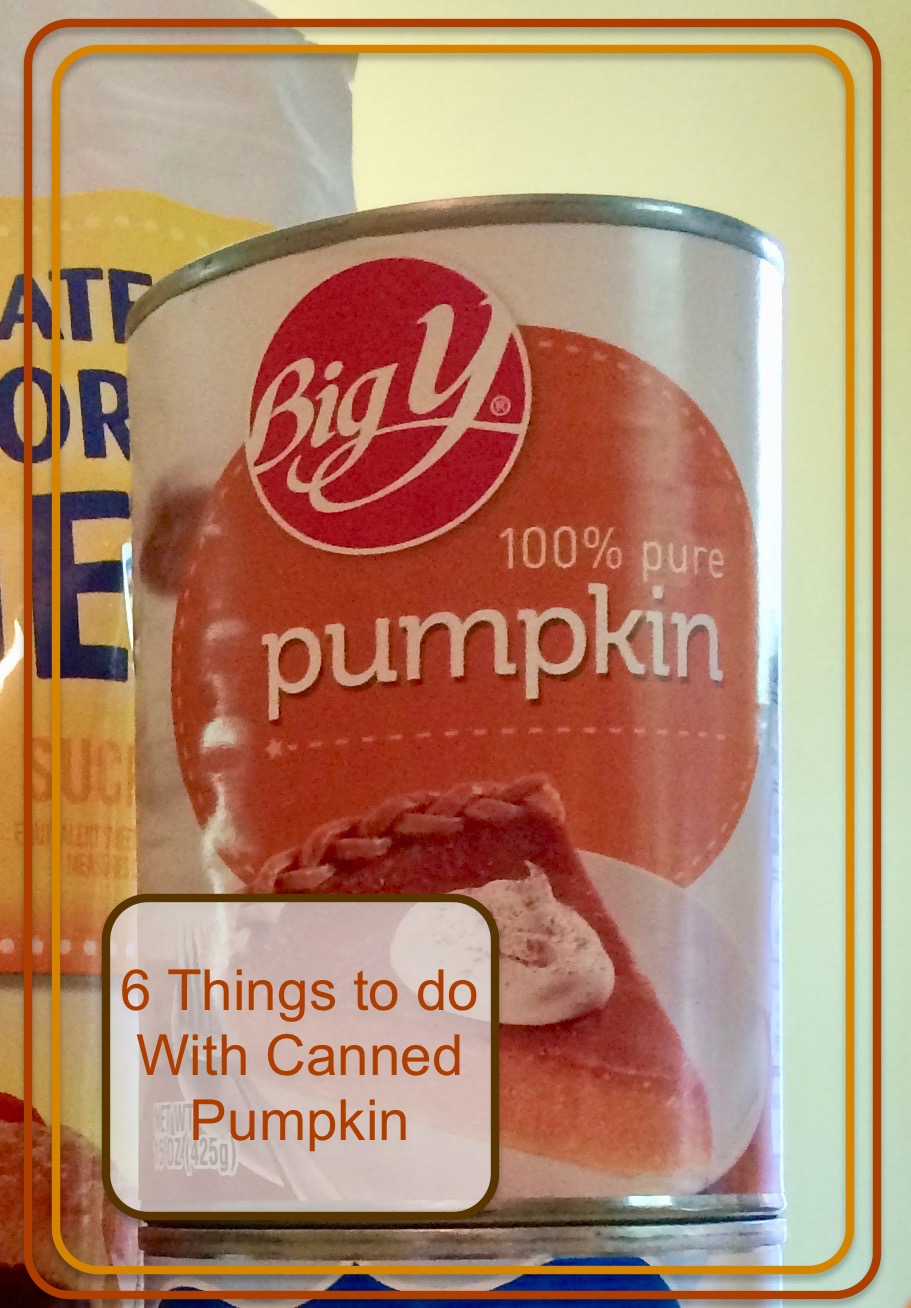 HomeCooked & Handmade 6 Things To Do With Canned Pumpkin