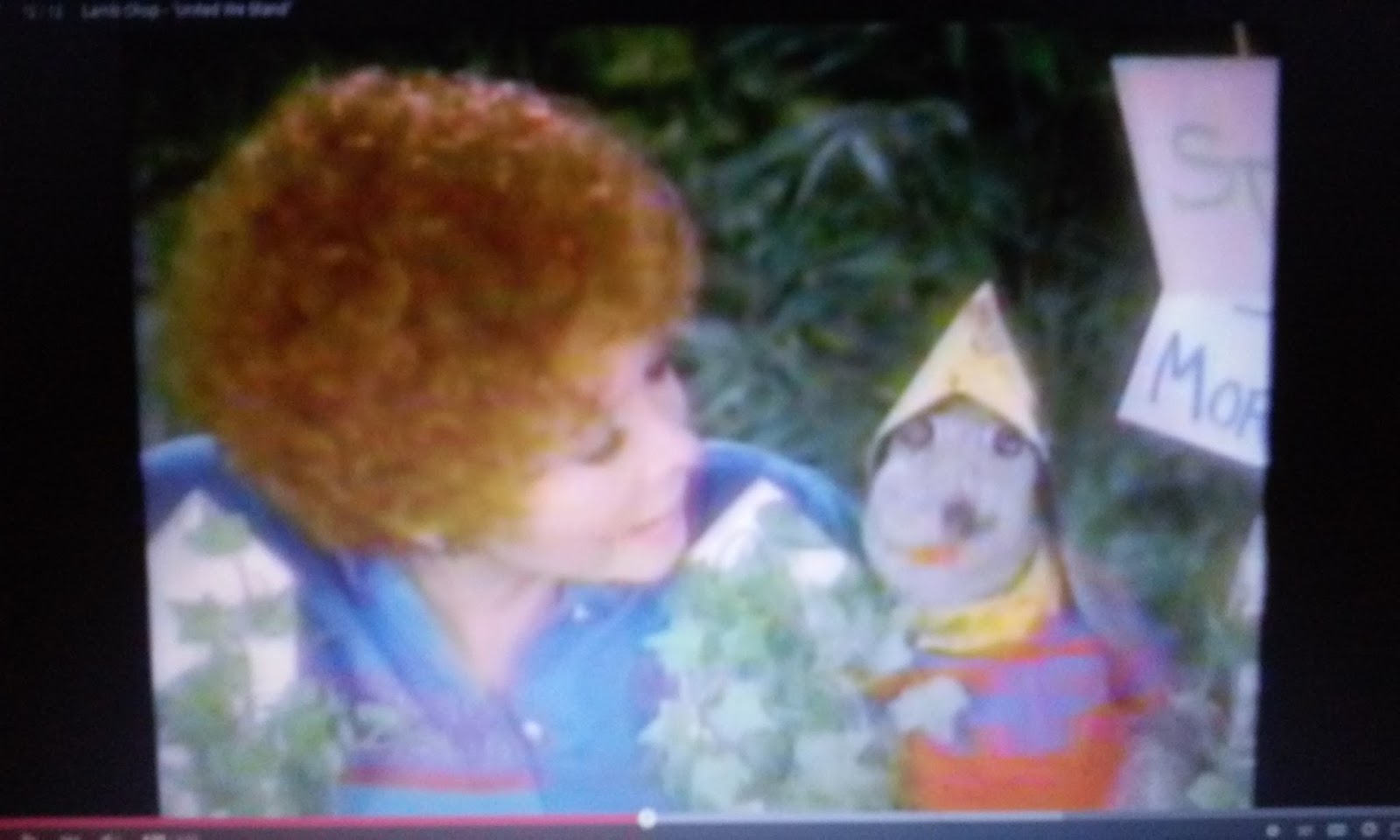 Whatsoever Critic "Lamb Chop's Play Along United We Stand" TV Episode