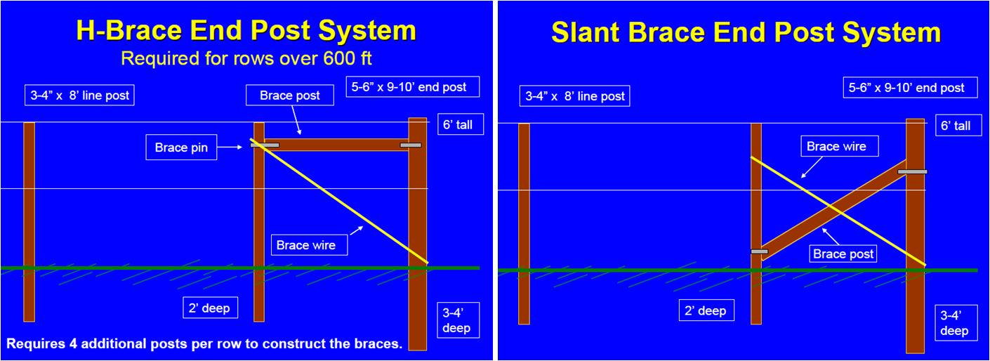 EnoViti Endpost Designs