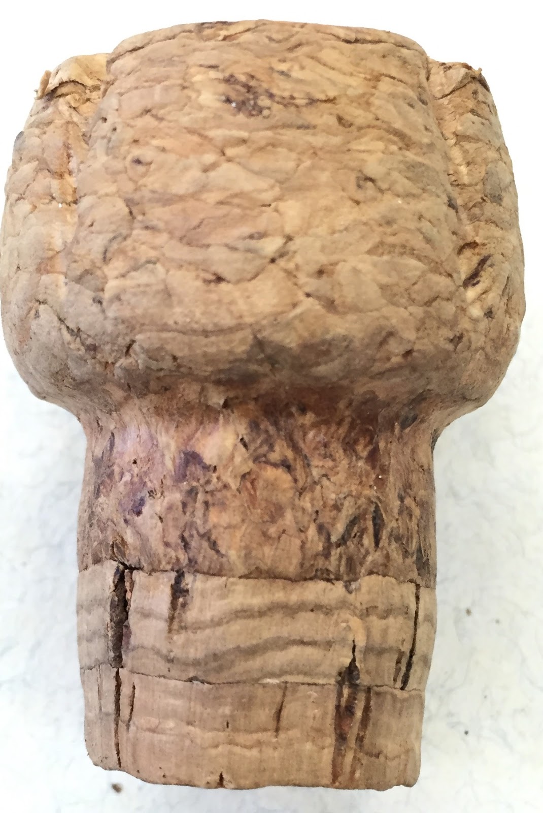 The Phytophactor Botany Within Your Reach 1. Corks