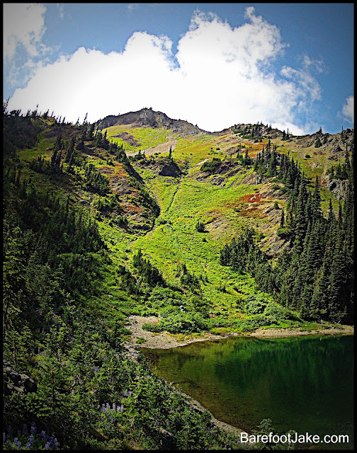 Home Lake Olympic