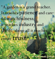 A garden is a grand teacher