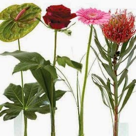 Flowers delivery in US Flowers Online delivery in US and price
