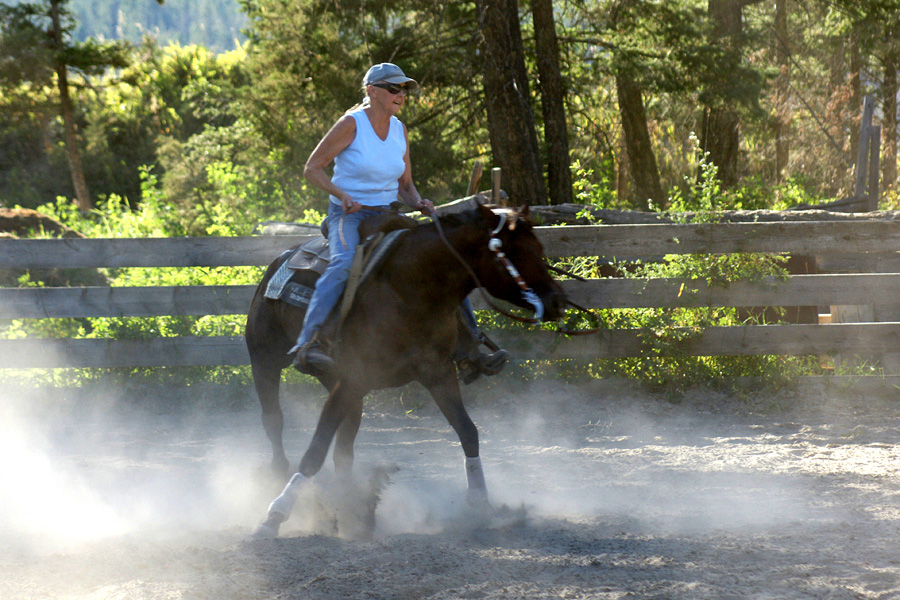Reining Training Tips Spin Fix 13 Speeding Up the Spin