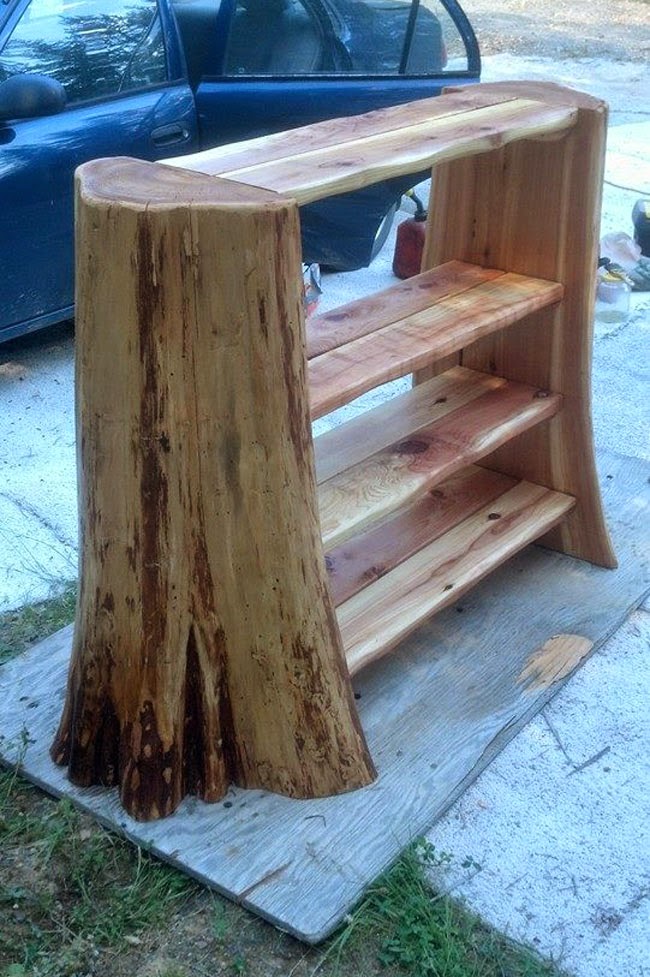 What To Do With That Cedar Tree Stump My99Post